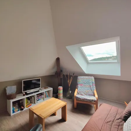 Le Nid Douillet - Cocon Lumineux Sur Les Toits Apartment *