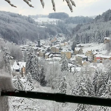 Apartment Le Nid Douillet - Cocon Lumineux Sur Les Toits Plombières-les-Bains